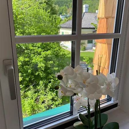 Im Kurpark Apartment *